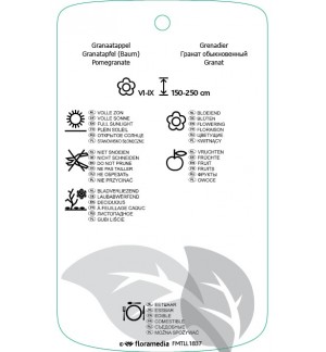 Etichette di Punica granatum *