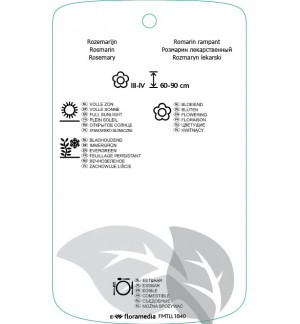 Etichette di Rosmarinus officinalis ‘Pointe du Raz’ *