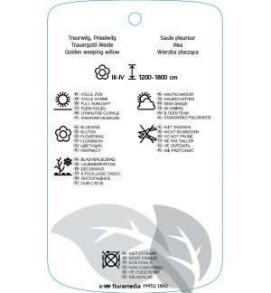 Etichette di Salix xsepulcralis ‘Chrysocoma’ *