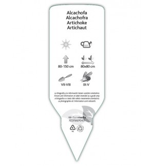 Etiquetas de Alcachofra