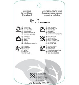 Etichette di Prunus laurocerasus ‘Magnoliifolia’ *