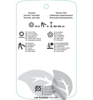 Etichette di Tamarix ramosissima *