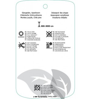 Etichette di Araucaria araucana *