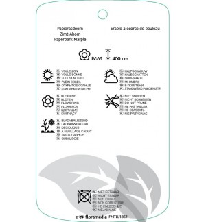 Etichette di Acer griseum *