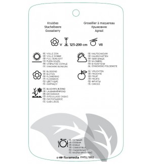 Etiquetas de Ribes uva-crispa ‘Whinham’s Industry’  *