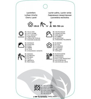 Etichette di Prunus laurocerasus ‘Van Nes’ *