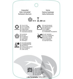 Etichette di Viburnum xburkwoodii ‘Mohawk’ *