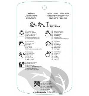 Etichette di Prunus laurocerasus ‘Zabeliana’ *