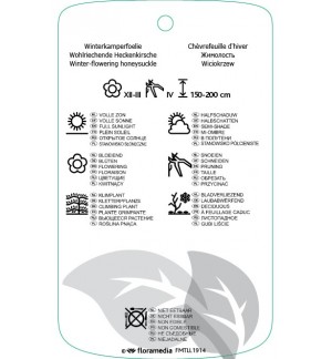 Etichette di Lonicera fragrantissima *