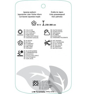 Etichette di Acer palmatum ‘Fireglow’ *