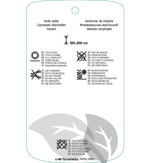 Etichette di Juniperus virginiana ‘Grey Owl’ *