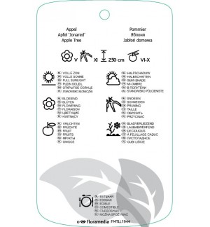 Etichette di Malus domestica ‘Jonared’ *