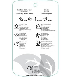 Etichette di Prunus cerasus ‘Noordkriek’ *