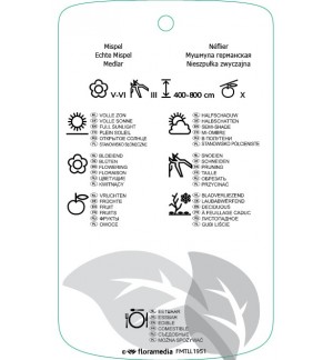 Etichette di Mespilus germanica  mispel/nefle *