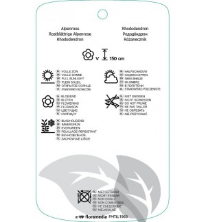 Etichette di Rhododindron ferrugineum *