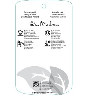 Etichette di Prunus tenella ‘Fire Hill’ *