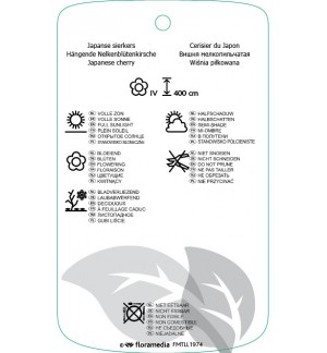 Etichette di Prunus serrulata ‘Ukon’ *