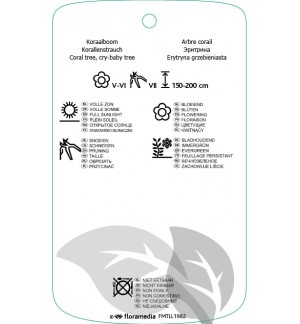 Etiquetas de Erythrina crista-galli ‘Compacta’ *