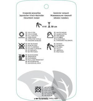 Etichette di Juniperus procumbens ‘Nana’ *