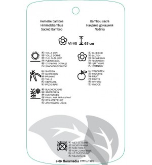 Etichette di Nandina domestica ‘Richmond’ *