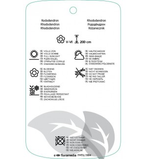 Etichette di Rhododindron  paars *