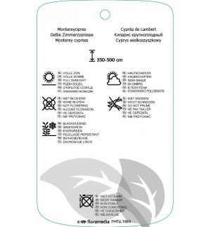 Etichette di Cupressus macrocarpa ‘Wilma’ *