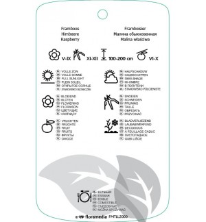 Etichette di Rubus idaeus  geel *