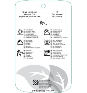 Etichette di Taxus baccata  vormen *