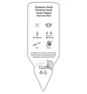 Etichette di Pimiento verdi