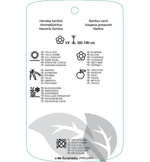 Etichette di Nandina domestica ‘Fire Power’ *