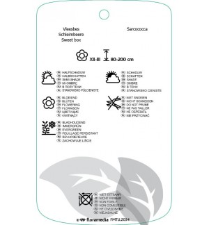 Etichette di Sarcococca confusa *