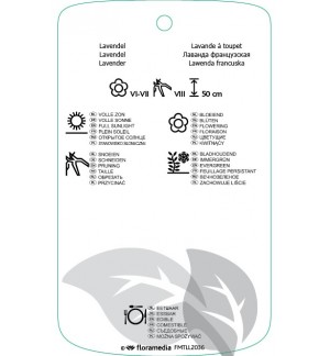 Etichette di Lavandula stoechas *