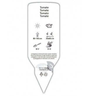 Etiquetas de Tomate (Lycopersicon)