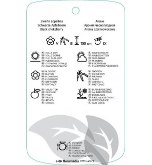 Etichette di Aronia melanocarpa ‘Hugin’ *