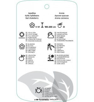 Etichette di Aronia arbutifolia *