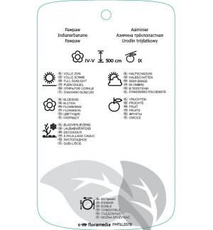 Etichette di Asimina triloba *