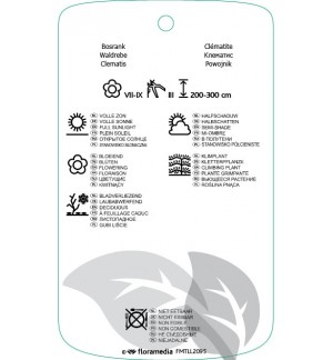 Etichette di Clematis ‘Andromeda’ *