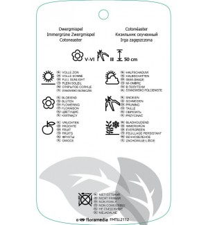 Etichette di Cotoneaster congestus *