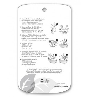 Etichette di Washingtonia