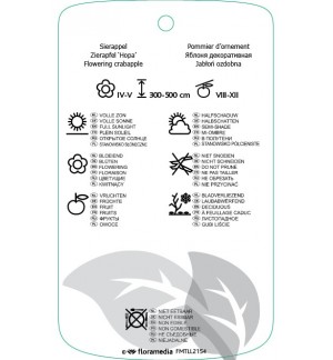 Etichette di Malus ‘Hopa’ *