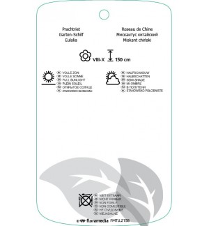 Etichette di Miscanthus sinensis ‘Morning Light’ *