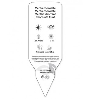 Etiquetas de Menta chocolate