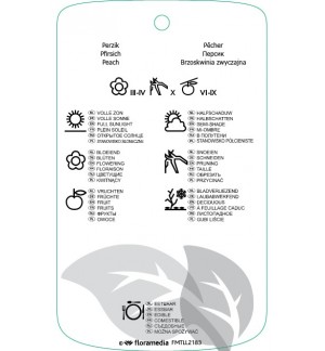 Etichette di Prunus persica ‘Melred’ *