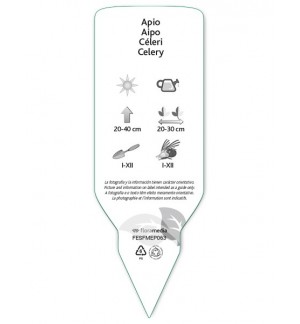Etichette di Apio