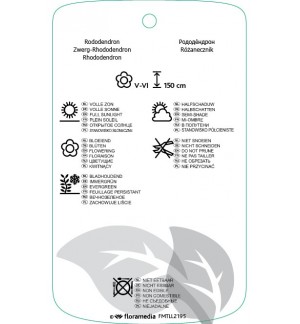 Etichette di Rhododindron hybridi ‘Berlinale’ *