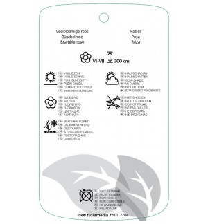 Etichette di Rosa multiflorawit *