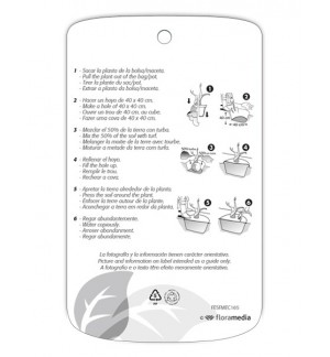 Etichette di Oleandro (giallo semplice)