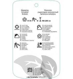Etichette di Physocarpus opulifolius ‘Red Baron’ *