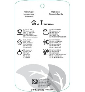 Etichette di Stranvaesia davidiana *