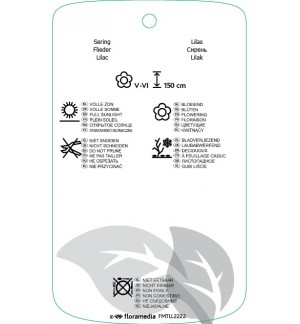 Etichette di Syringa ‘Red Pixie’ *